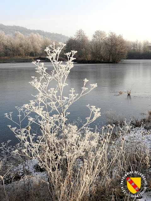 MESSEIN (54) - Les étangs saisis par le gel : l'étang Mercier