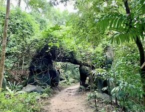 Nature Trail