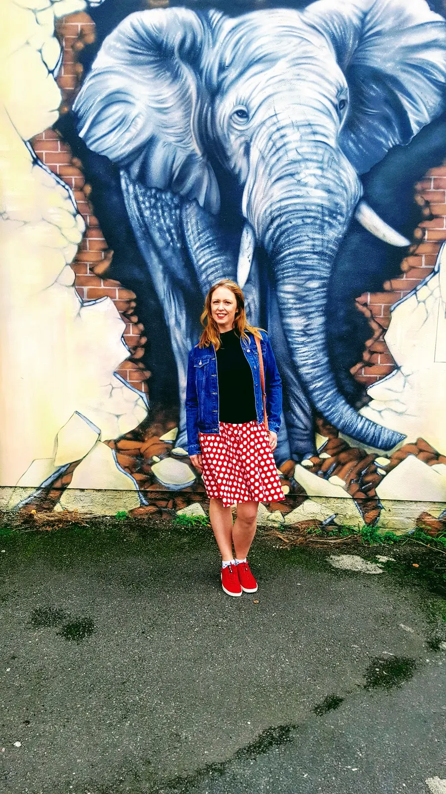 Elephant Street Art Loughborough & My Favourite Polka Dot Dress