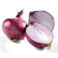 Red Onion and Adventurous Fiber Foods