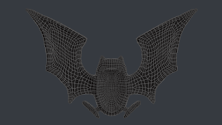 Optimized mesh - front