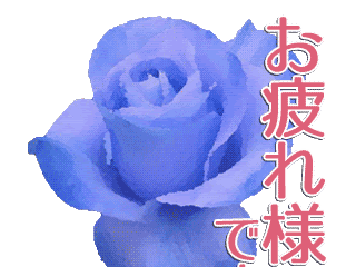 √99以上 薔薇 画像 フリー 130514-オレンジ 薔薇 フリー 画像