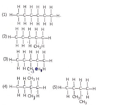 hexane Isomers-CBSE Class 10 Science Notes Chapter 4 Carbon and its Compounds