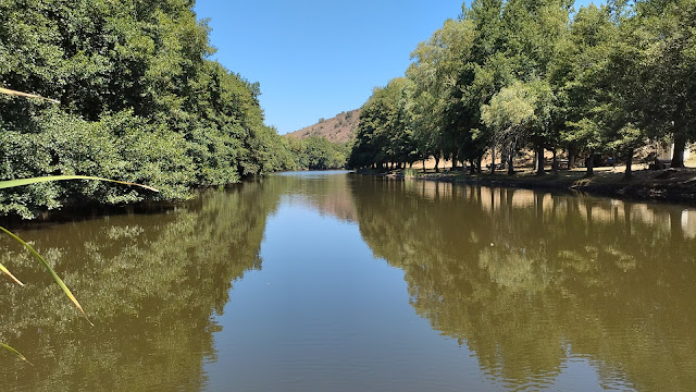 Zona Fluvial de Uva