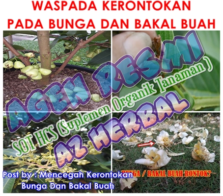 Mencegah Kerontokan Bunga Dan Bakal Buah