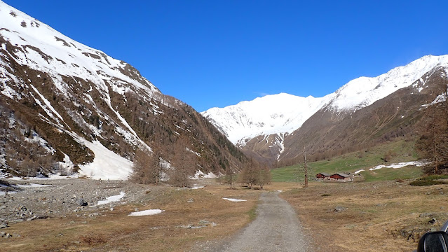 Apere Wiesen rund um den 2076 m hohen Eishof im Pfossental, Schnals. Im Kontrast dazu die schneebedeckten Berge des Schnalser Kamms. (Foto: Lawinenwarndienst Südtirol, 26.05.2021)