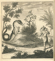 A black and white illustration of a two-legged, wingless dragon or warm startling a man with an axe.