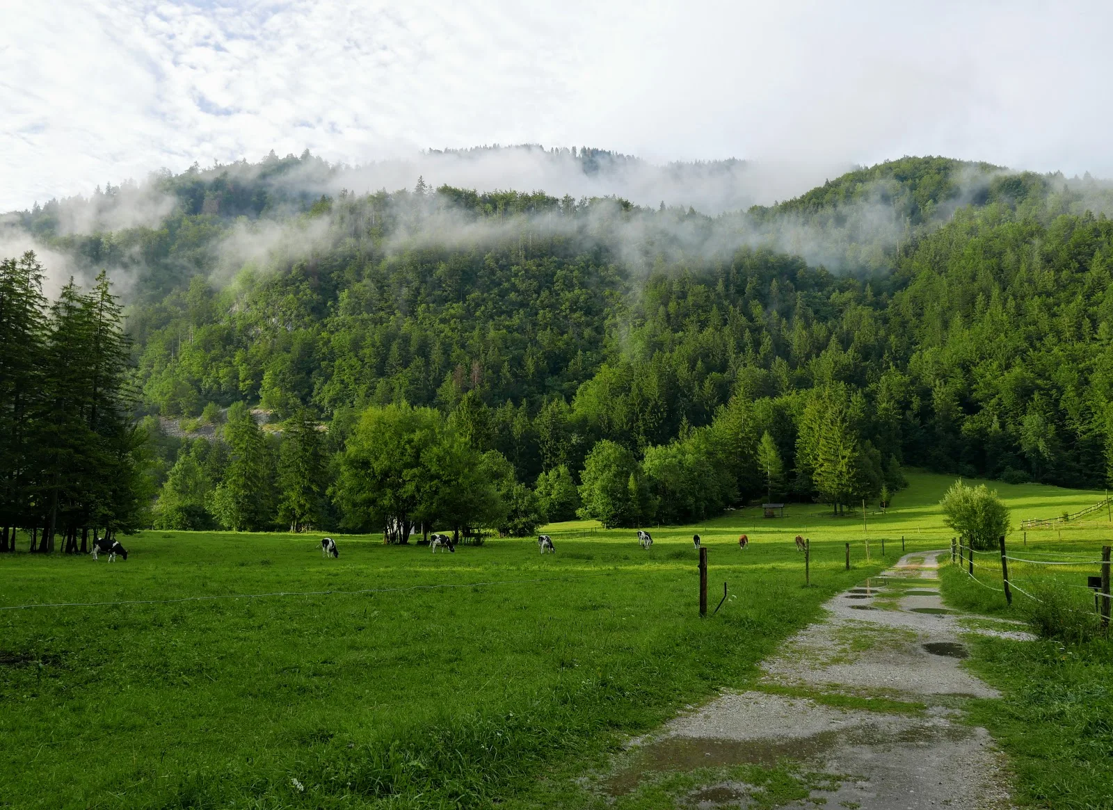 słowenia, słowenia atrakcje, słowenia atrakcje turystyczne, ałowenia jezioro, słowenia jezioro bohinj, alpy julisjkie, szczyty alp, alpy na pierszy raz, słowenia góry, słowenia atrakcje, słowenia szlaki, słowenia via ferraty