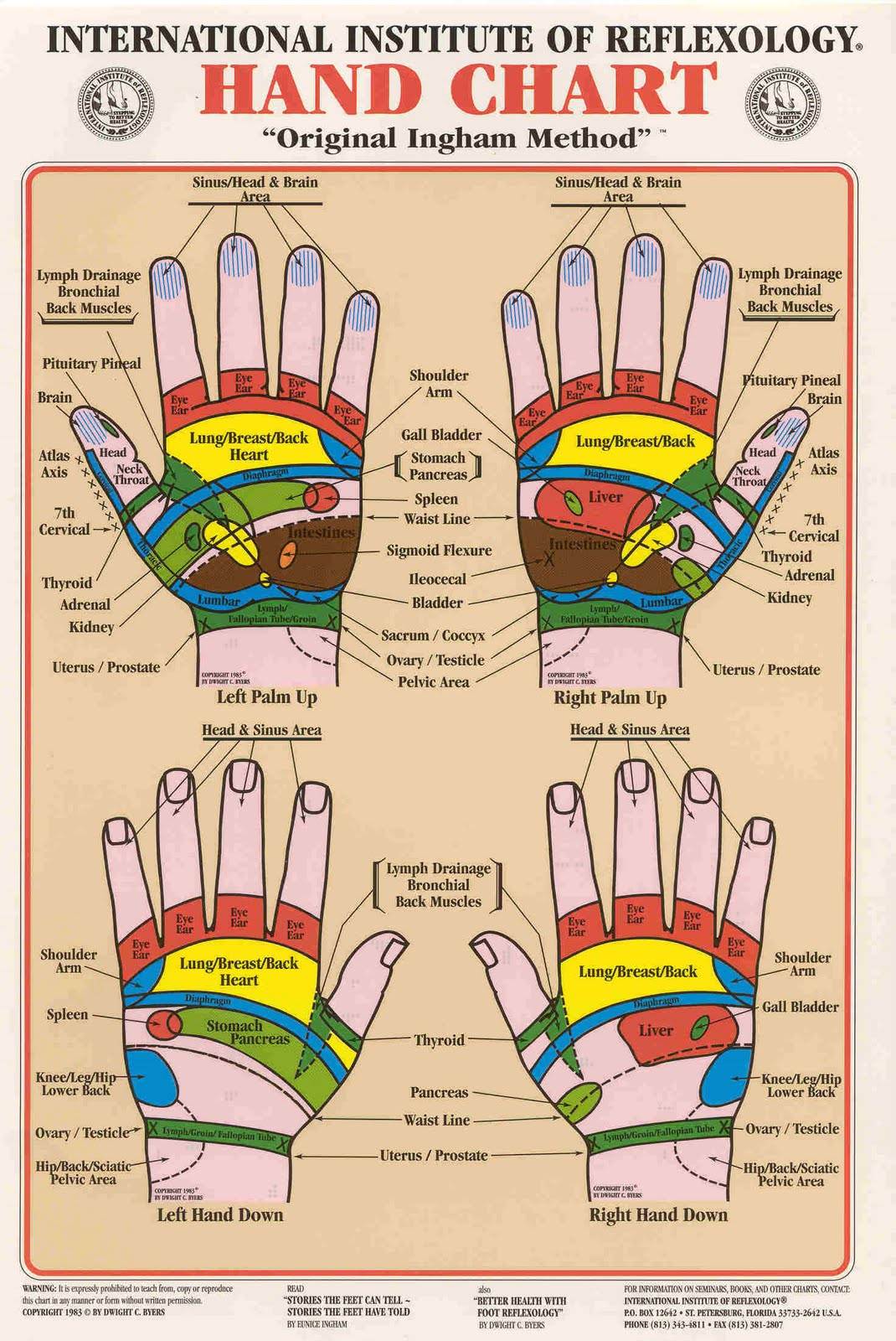 The gallery for --> Foot Massage Chart