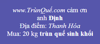 Trùn quế về Thanh Hóa