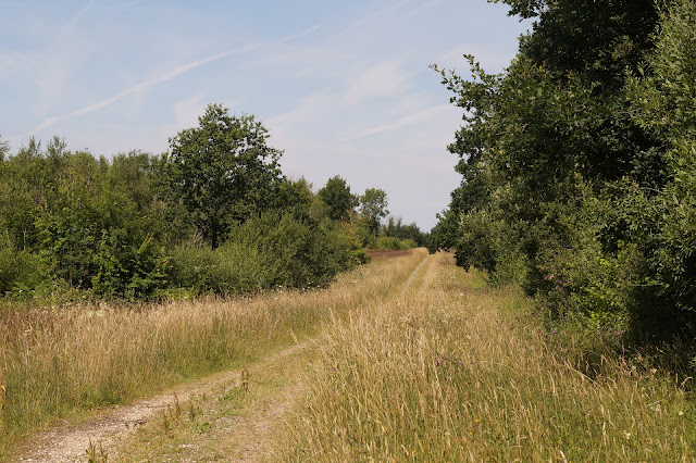 Norfolk nature paradise