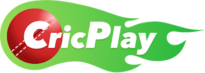 CricPlay review