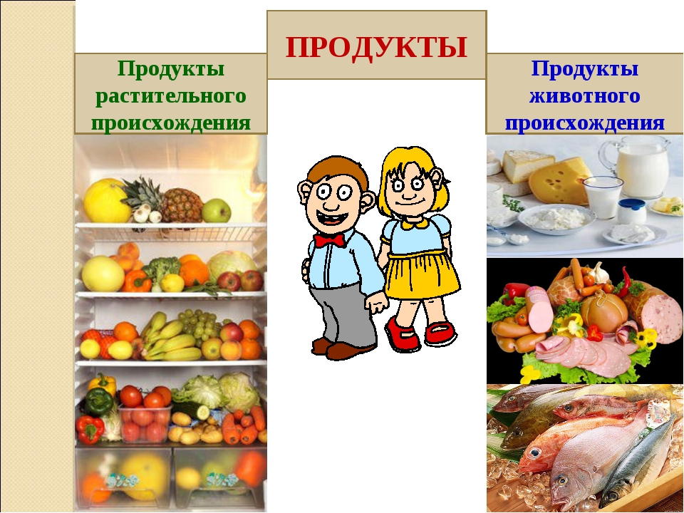 Продукты растительного происхождения 2 класс окружающий. Продукты растительного происхождения. Продукты растительного и животного происхождения. Продукты питания растительного происхождения. Пищевые продукты растительного происхождения.