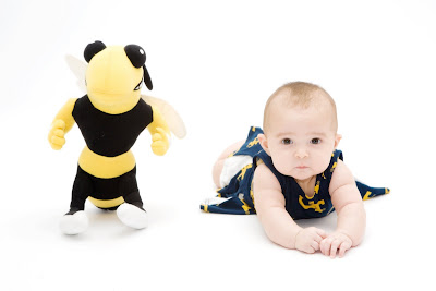 yellow jackets fan