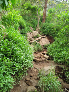 https://anbusenja.blogspot.com/2019/05/pendakian-gunung-andong-via-pendem.html