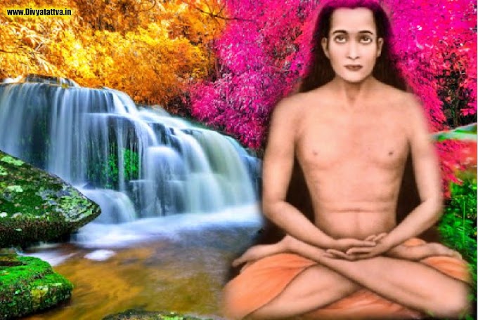 Mahavatar BABAJI Photos Pictures Images Wallpapers Of Kriya Yoga Guru