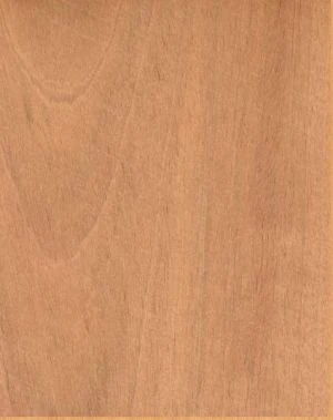 Jatoba