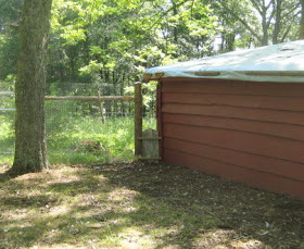 The chicken gate.  Opens to goat field