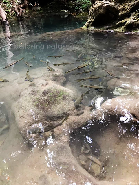 Erawan Water Fall