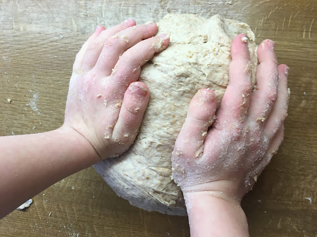 Dinkelbrötchen Rezept