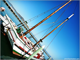 Alma en el Hyde St Pier