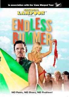 Baixar Filme - Endless Bummer DVDRip XviD