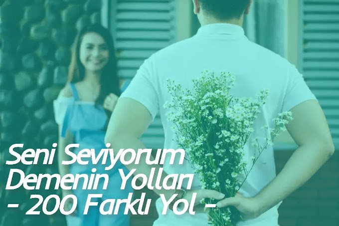 Seni Seviyorum Demenin Yolları - 200 Farklı Yol 