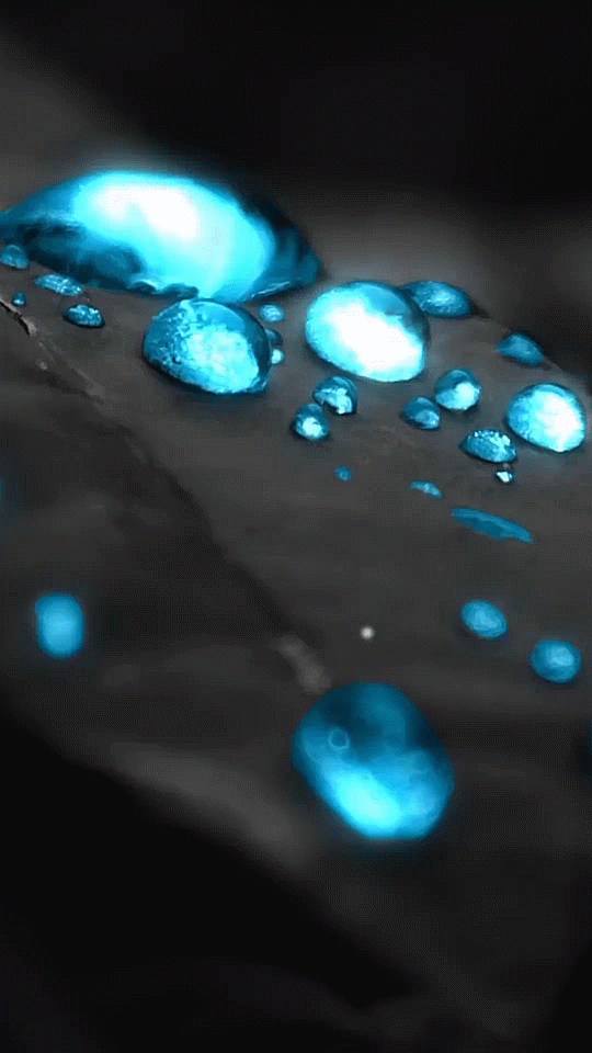 Water droplets live wallpaper - Hình nền sống nước: Bạn muốn có một hình nền sống động, mang lại sự mới lạ cho chiếc điện thoại của mình? Hình nền sống nước với giọt nước mượt mà rơi xuống là điều mà bạn không thể bỏ qua. Sự kết hợp của hình ảnh và âm thanh sẽ đưa bạn vào một thế giới mộng mơ. Hãy trải nghiệm ngay!