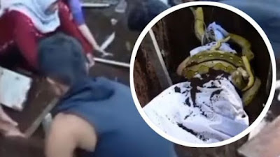 Video Viral! Momen Youtuber Gilang Berbie Dikubur Sambil Dililit Ular Demi Konten, Hingga Dilarikan ke Rumah Sakit