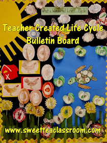 life cycle bulletin board