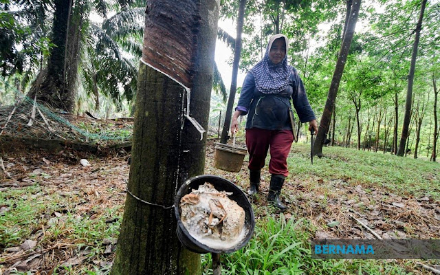 PRIHATIN!!! Insentif Pengeluaran Getah bagi April 2020 diaktifkan. Insentif Pengeluaran Getah (IPG) bagi April 2020 telah diaktifkan di Semenanjung, Sabah serta Sarawak yang membolehkan pekebun kecil membuat tuntutan pembayaran berdasarkan pengeluaran pada April.