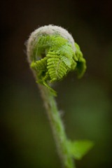 IMG_7549