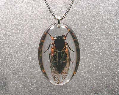 Beautiful Insects jewelry