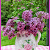 Welcome June