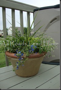 Planting Flowers 002