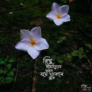 কষ্টের পিকচার ডাউনলোড