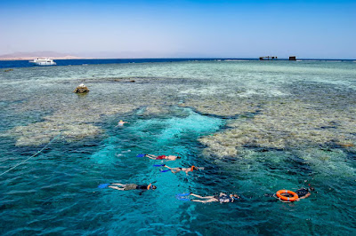 https://www.alltoursegypt.com/package_tours/egypt_and_red_sea_holidays-20.html