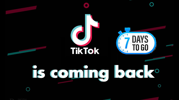 why tiktok is back in india