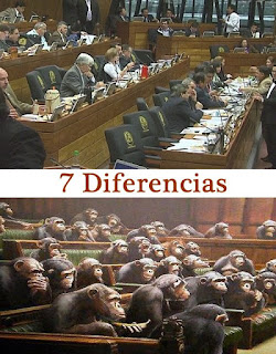 7 Diferencias