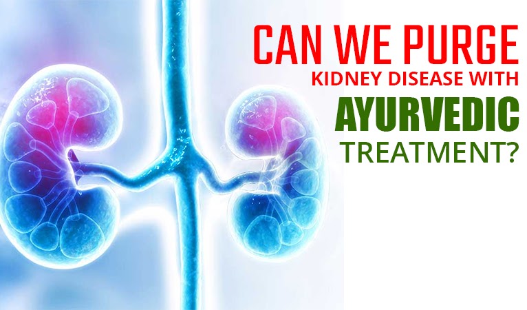 Can we purge kidney disease with ayurvedic treatment?