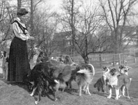 Mrs. Lunt and a few of her Alstead collies