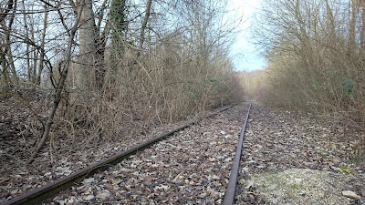 Highline Reims, la voie de train se perd dans la nature