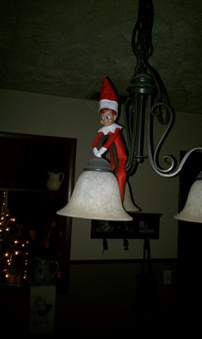 elf5