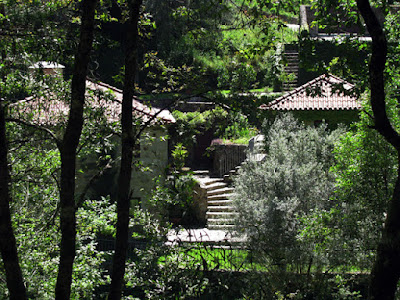 casa de pedras em meio à vegetação