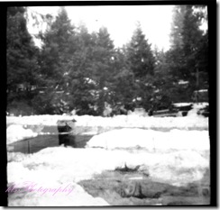 004 copy