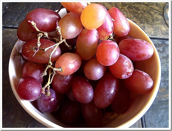 free-images-of-grapes-1 (2171) free-images-of-grapes-1 (2171)