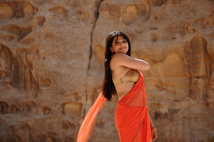 anushka from ragada movie, anushka new spicy photo gallery