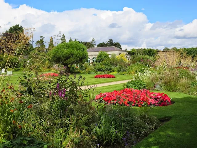 Flowers and gardens in Marlay Park in Dublin