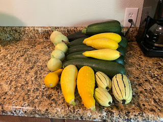 Various Squashes