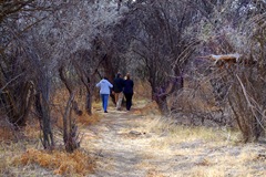 HEADING OFF ON A LONG WALK WEST OF THE MONASTERY